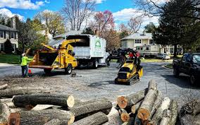 Seasonal Cleanup (Spring/Fall) in Coolidge, AZ